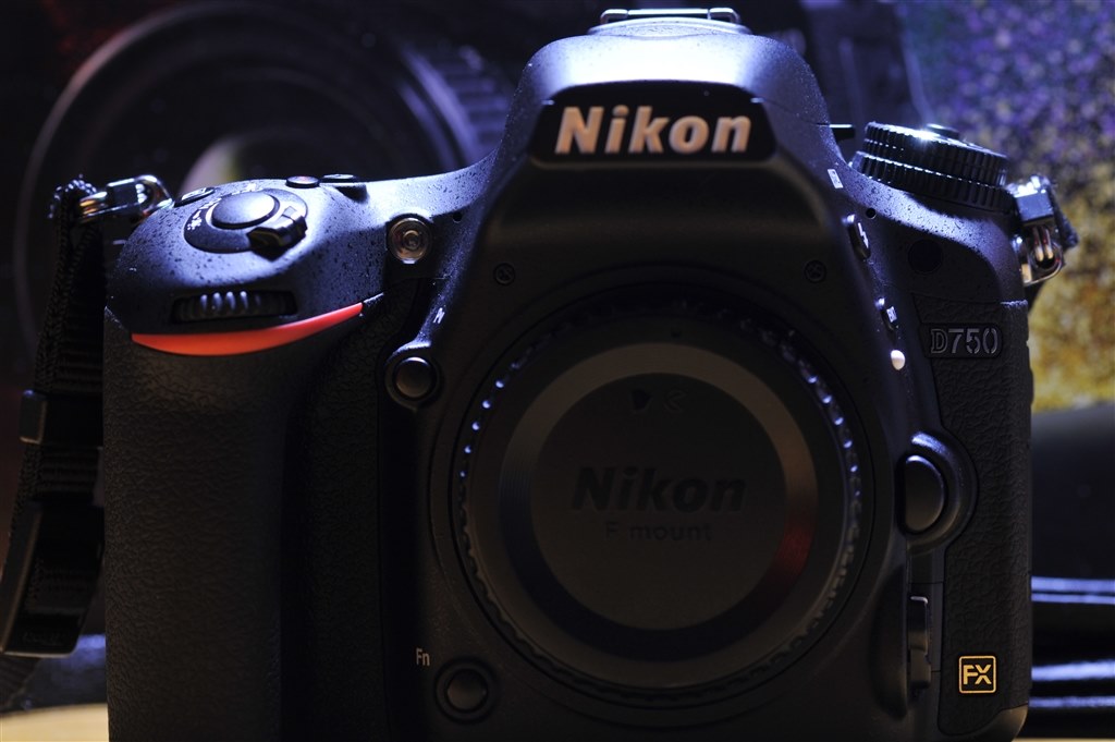 NIKON D750 大三元セット フルサイズ一眼レフ （ボディの塗装品質 