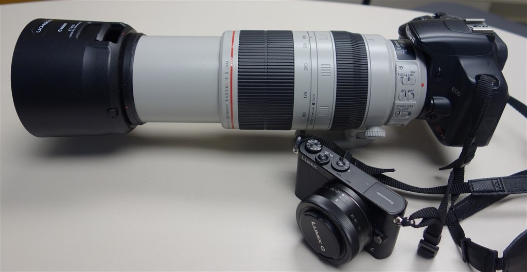 野鳥撮影 これか、サードパーティー製か…』 CANON EF100-400mm F4.5-5.6L IS II USM のクチコミ掲示板 -  価格.com