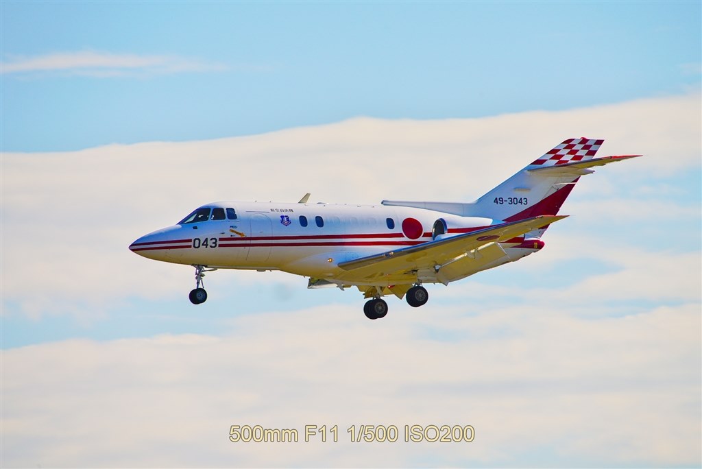 マウントアダプターについて』 CANON EF100-400mm F4.5-5.6L IS II USM