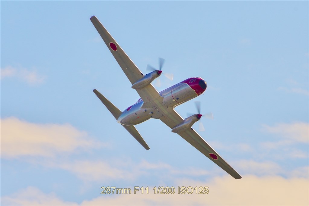 マウントアダプターについて』 CANON EF100-400mm F4.5-5.6L IS II USM