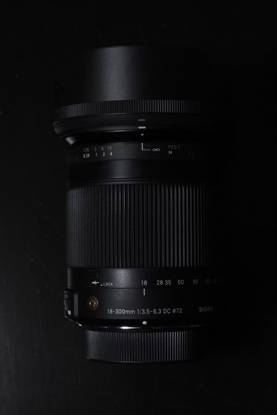 TAMRON 18-270mm F/3.5-6.3 Di II VC PZD (Model B008TS) [ニコン用]投稿画像・動画 - 価格.com