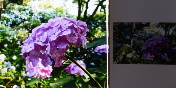 パナソニック LUMIX DMC-FS6で撮影された写真 - 価格.com