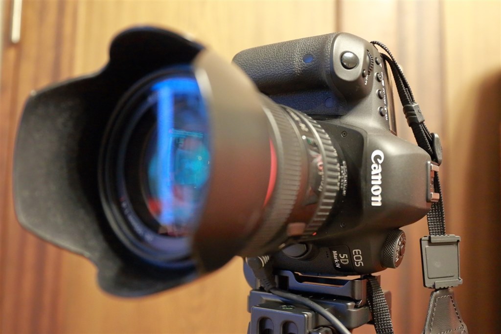 Canon EOS 5D mark IV + RRS L型プレート - デジタル一眼