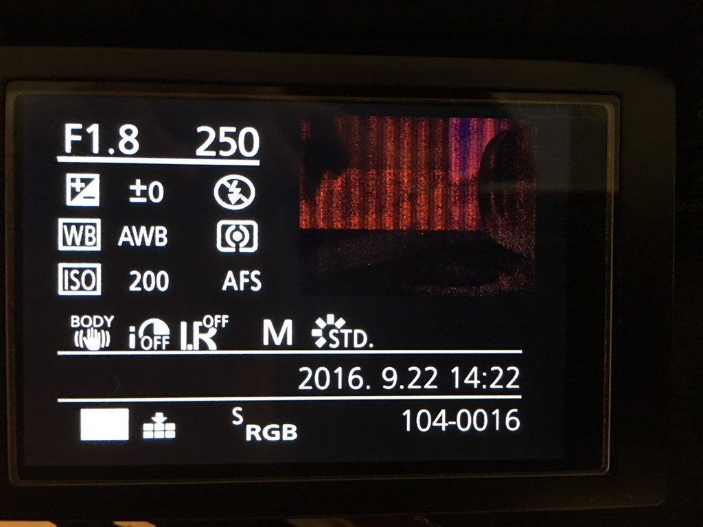 電源を入れたら画面にノイズが入っていた』 パナソニック LUMIX DMC