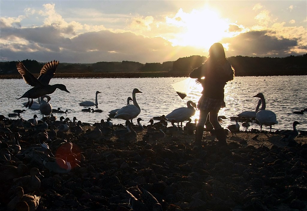 初心者×40D』 CANON EOS 40D ボディ のクチコミ掲示板 - 価格.com