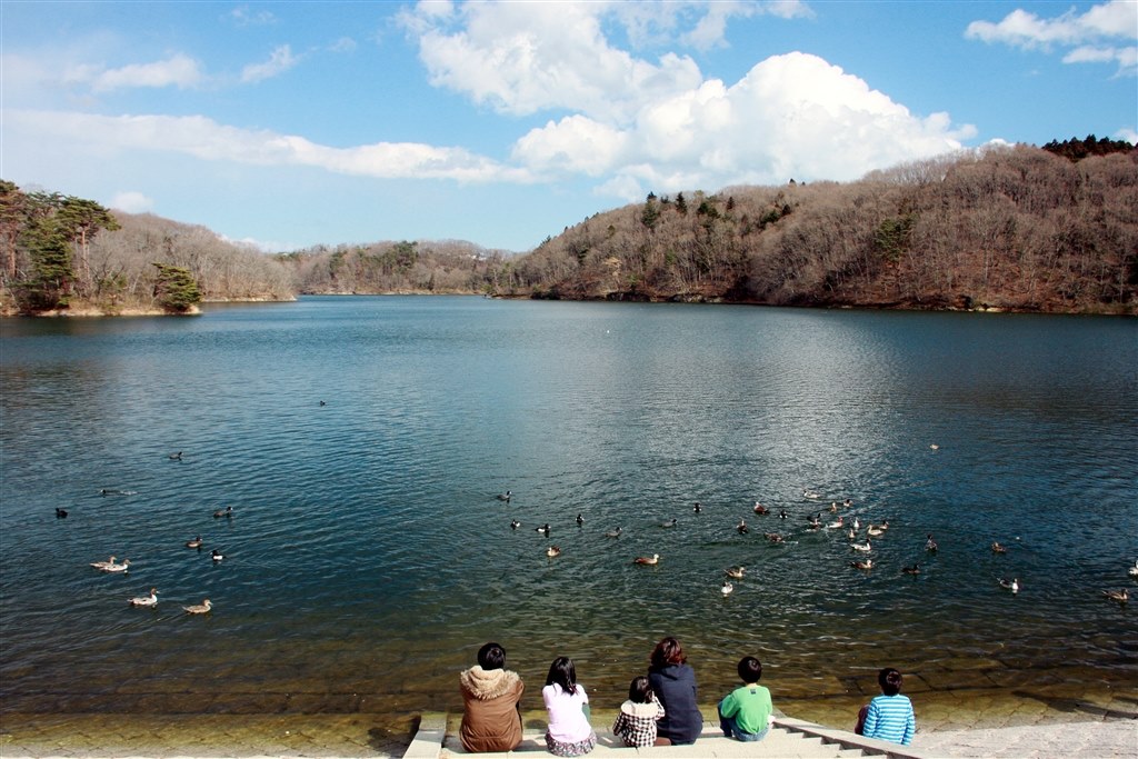 初心者×40D』 CANON EOS 40D ボディ のクチコミ掲示板 - 価格.com