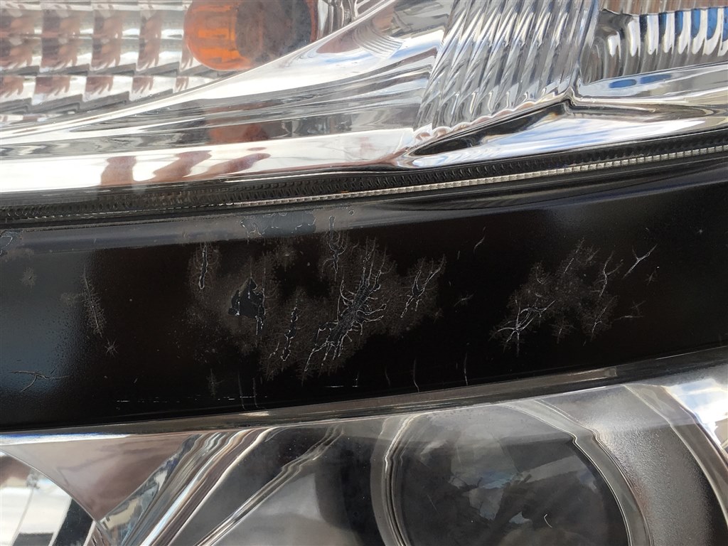 E52のフロントグリルガーニッシュ塗装剥がれについて 日産 エルグランド 10年モデル のクチコミ掲示板 価格 Com