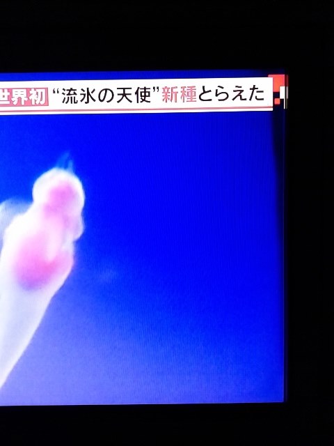 右端に黒い線のようなのが出てきて・・・・』 SONY BRAVIA KJ-32W730C 