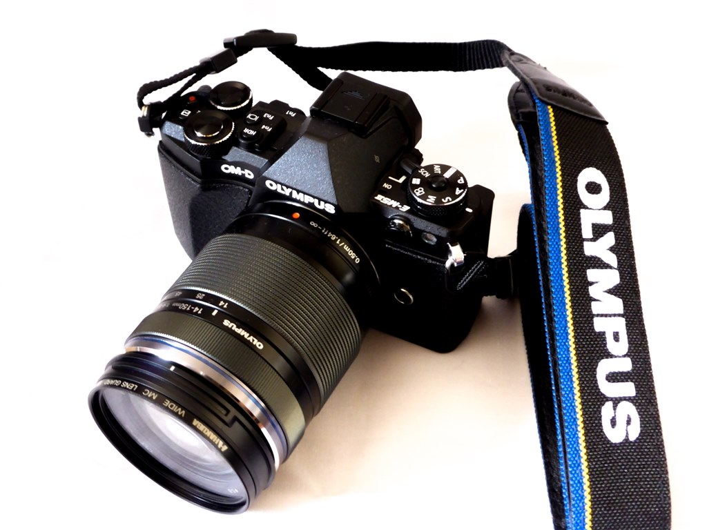 星景写真はどうですか？』 オリンパス OLYMPUS OM-D E-M5 Mark II 14