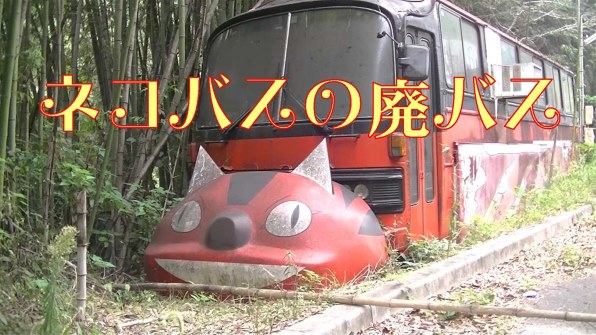 RICOH WG-30W カーボングレー Amazon | RICOH 防水デジタルカメラ RICOH WG-30W カーボン