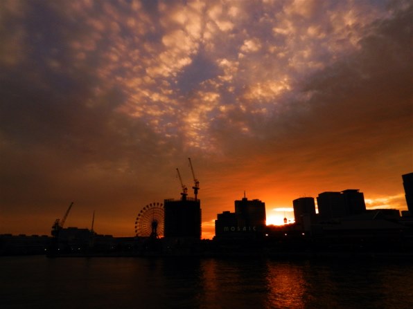 美品な動作品⭐Nikon COOLPIX P500⭐小さいのに遠くまで撮れる！ ニコン COOLPIX P500で撮影された写真 - 価格.com