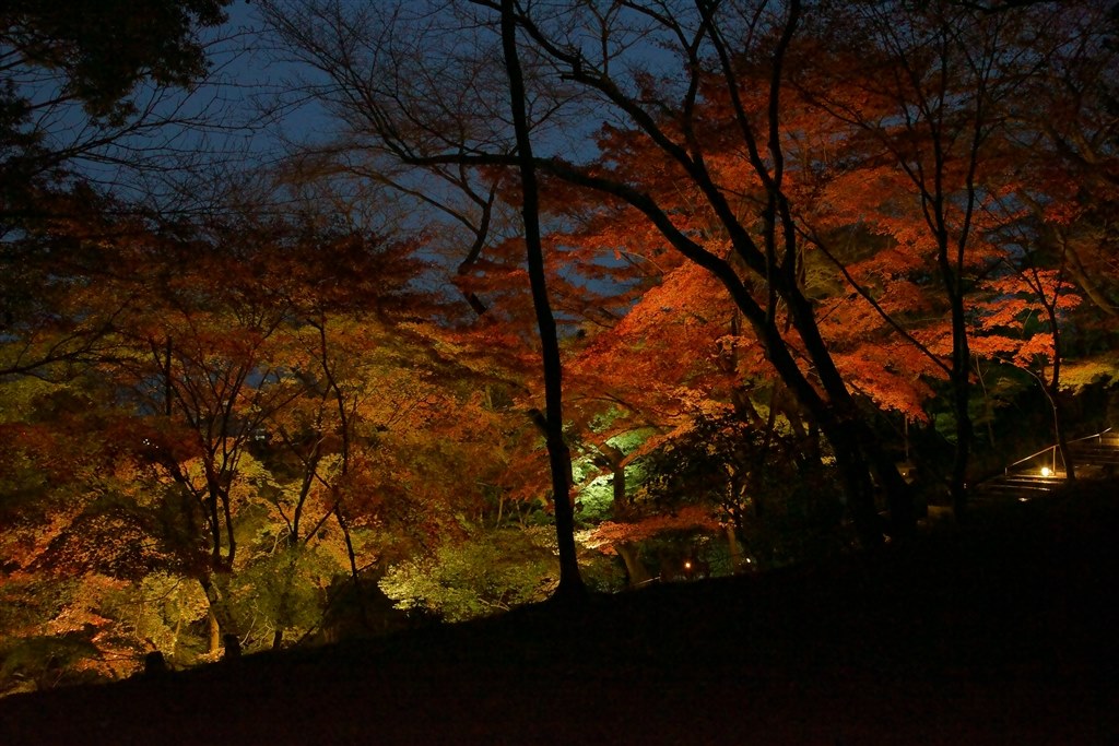 オールドレンズ、他社レンズ使用の用途で使いたい』 SONY α7 II ILCE 