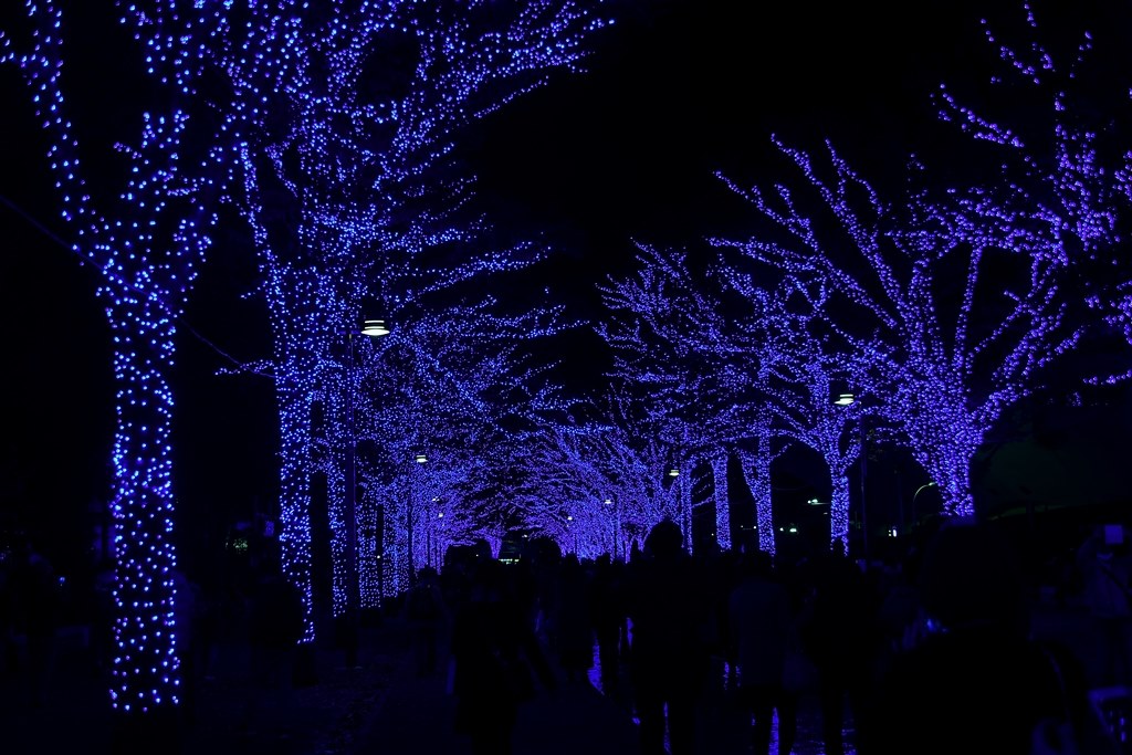 ✨美品✨一眼デビューにオススメ ✨Nikon D5000✨イルミネーション撮影に 美品 一眼デビューにオススメ Nikon D5000 イルミネーション撮影に