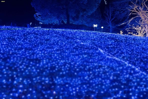 イルミネーションをバックにポトレ』 ニコン D500 ボディ のクチコミ