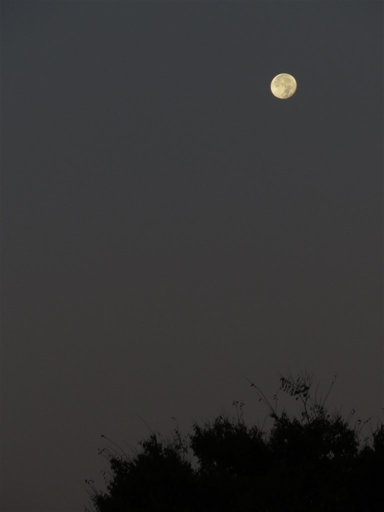 Canon デジタルカメラ PowerShot A3500 IS 画面に縦線あり 画像に縦線が入ってしまいます』 CANON PowerShot A3500 IS の