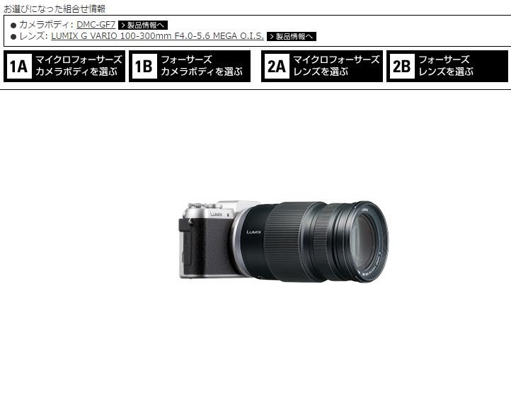 望遠レンズの購入検討中』 パナソニック LUMIX G VARIO 100-300mm/F4.0