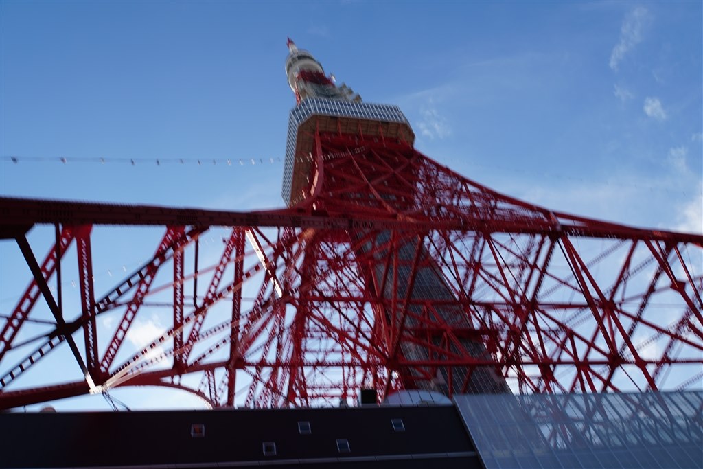 振るえについて』 SONY E 18-200mm F3.5-6.3 OSS LE SEL18200LE の