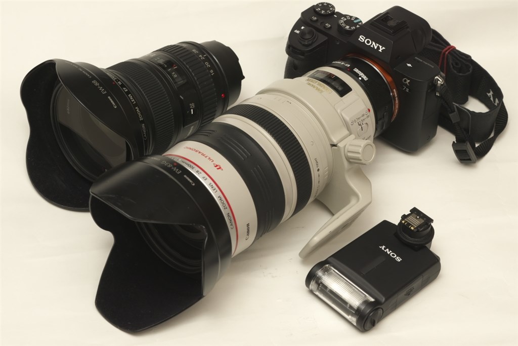 Canonの5Dmark4との相性は？』 CANON EF28-300mm F3.5-5.6L IS