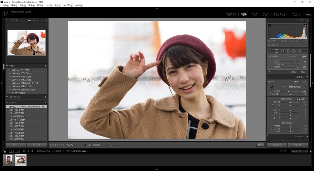 悲願 ポートレート レタッチで串を抜きたい』 クチコミ掲示板 - 価格.com