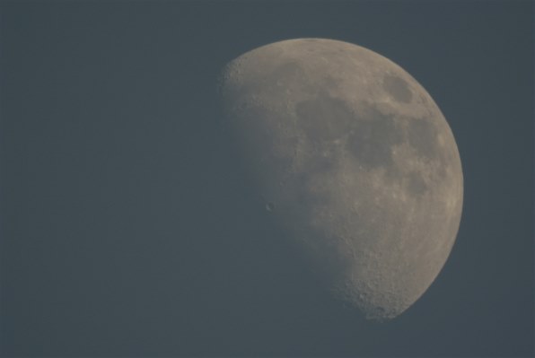 ケンコー ケンコーミラーレンズ 800mm F8DX投稿画像・動画 ケンコー ケンコーミラーレンズ 800mm F8DX投稿画像・動画