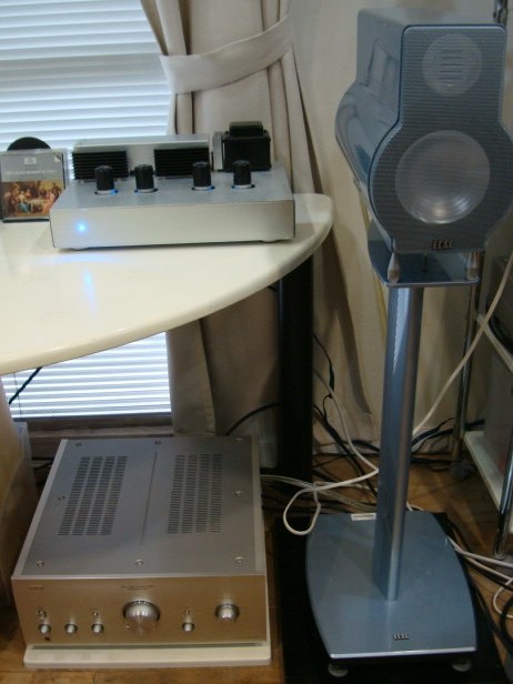 どんな アンプで鳴らしていますか』 THIEL Audio CS1.6WN どんな アンプで鳴らしていますか』 THIEL Audio CS1.6WN