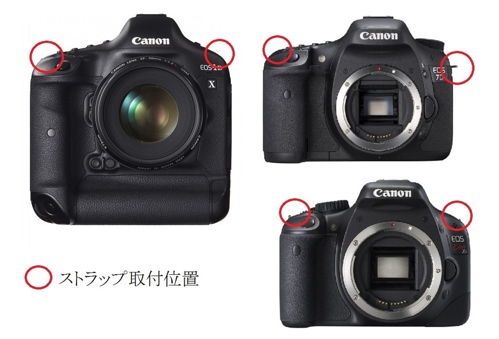 8000Dとx8i』 CANON EOS 8000D ボディ のクチコミ掲示板 - 価格.com