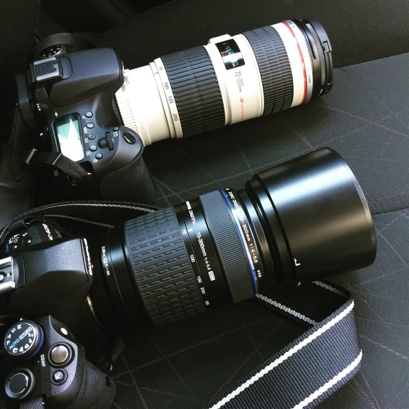 epl7で仕様について…』 オリンパス ズイコーデジタル ED 70-300mm F4.0