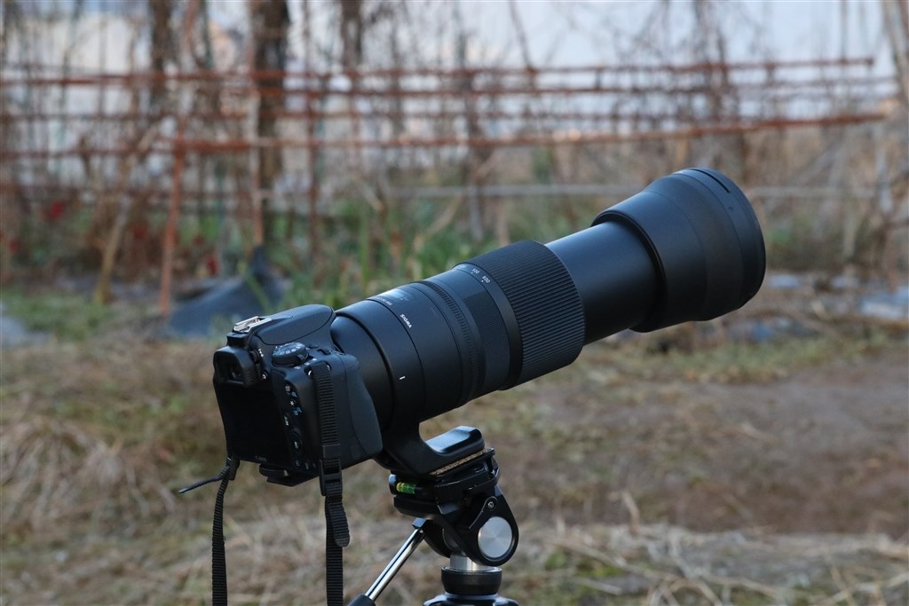 SIGMA シグマ 望遠レンズ 150-600mm キャノン用検討させていただきます