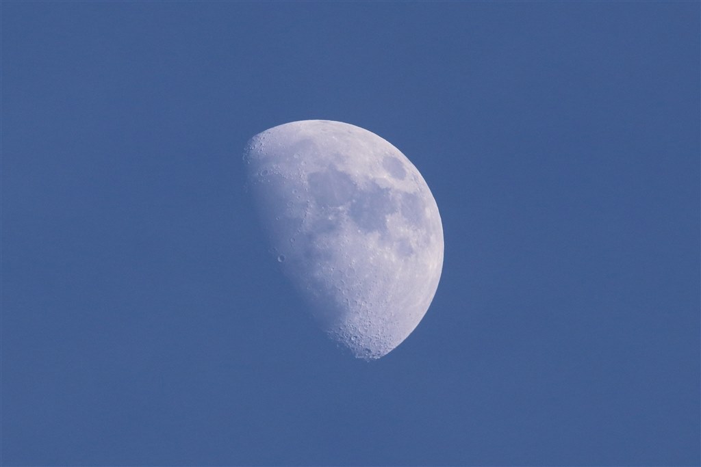 野球や運動会』 シグマ 150-600mm F5-6.3 DG OS HSM Contemporary 