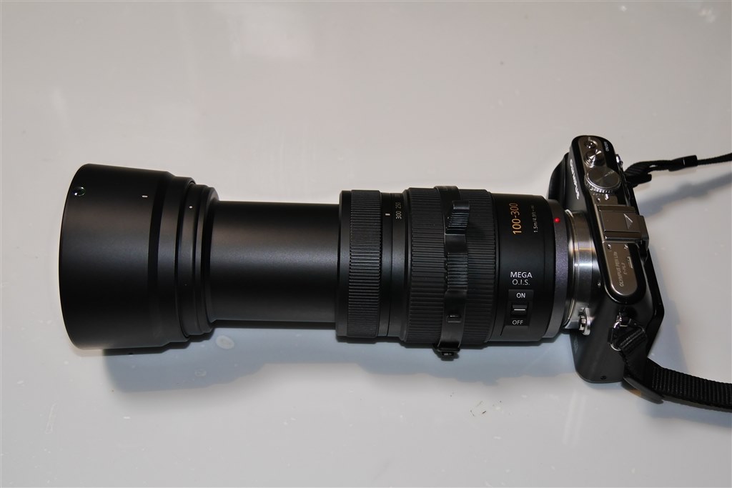 レビューお願いします』 パナソニック LUMIX G VARIO 100-300mm/F4.0