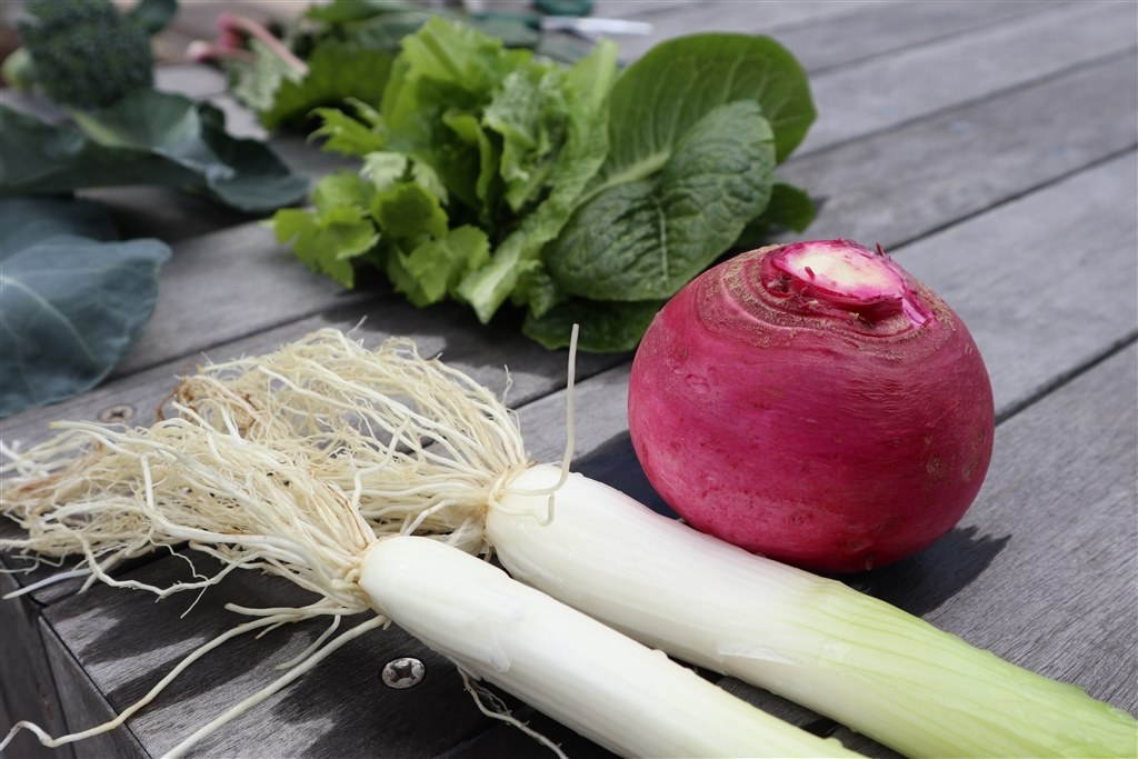 みなさんの、お出かけMレンズセットは？』 CANON EOS M5 EF-M15-45 IS