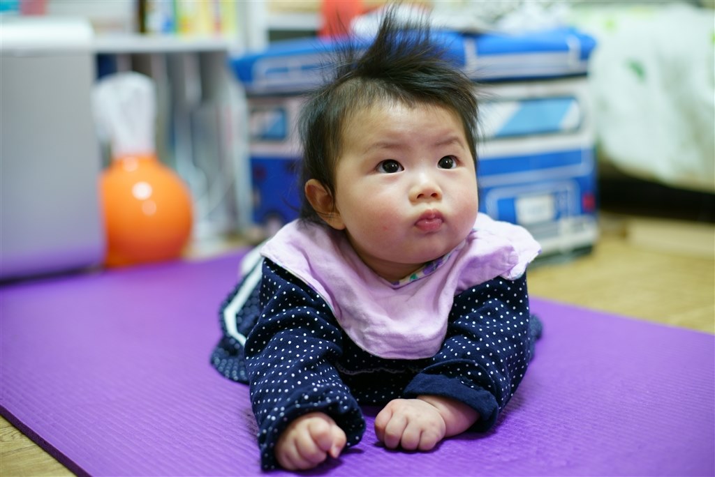 Minolta AF 50mm F1.4 / SONY Aマウント 作例あり レビュー記事】Aマウントレンズのおはなし。第4回 (AF 50mm F1.4, AF