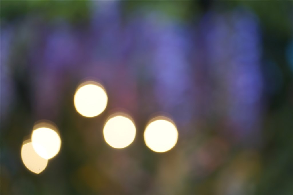 玉ボケに見られる口径食』 SONY FE 85mm F1.8 SEL85F18 のクチコミ