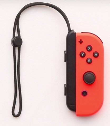 Nintendo Switch Joy-Con ストラップ ネオンピンク