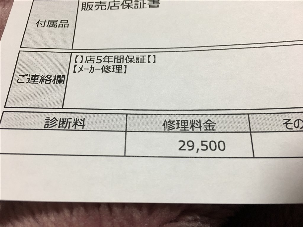 α7sセンサーに撮れないゴミ症状：約2.6万円の修理に出す