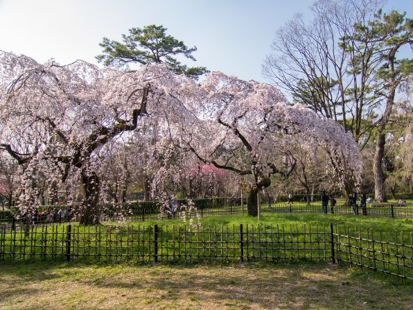 ペンタックス smc PENTAX-DA 12-24mmF4 ED AL[IF]で撮影された写真