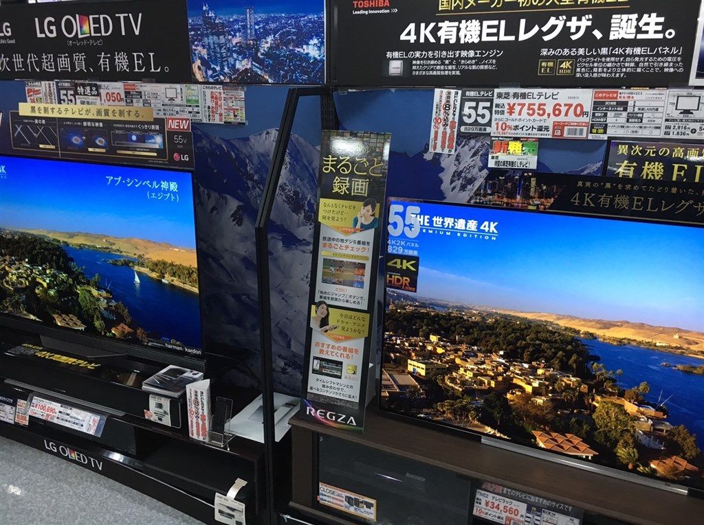 画面焼けしますね！』 LGエレクトロニクス OLED55E6P [55インチ] の