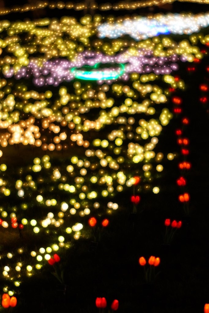 手ブレ補正付き ダブルレンズ✨Canon EOS KissX8i✨イルミ 夜景に