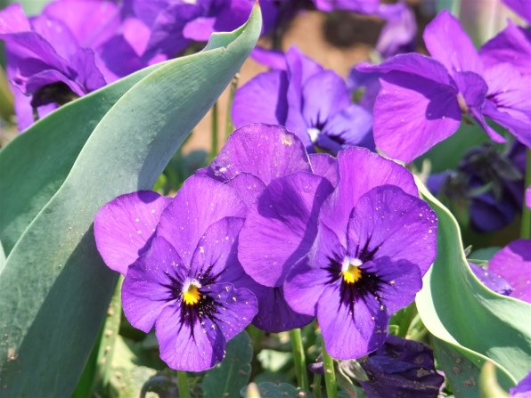 富士フイルム FinePix S200EXR投稿画像・動画 - 価格.com