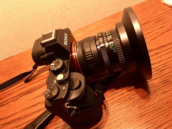 コシナ 20mm F3.8 MF投稿画像・動画 - 価格.com