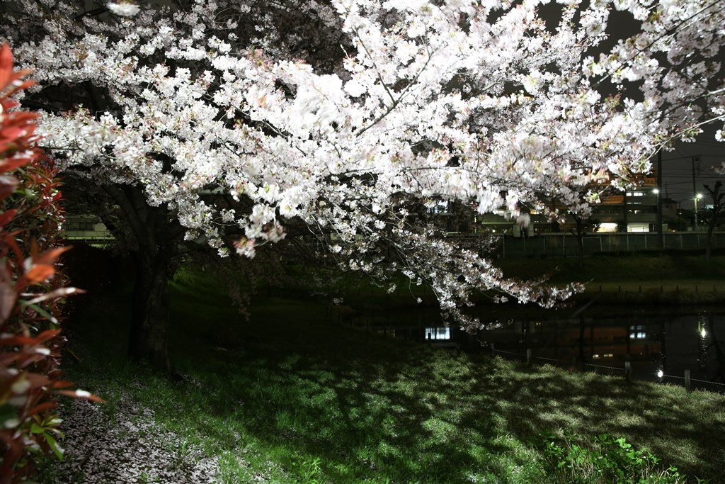 ❗️早い者勝ち❗️ef24-70mm f2.8l ii usm EF24-70mm F2.8L USM 中古価格比較 - 価格.com