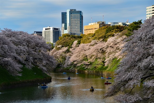 千鳥ヶ淵ボート乗り場の展望台 埼玉大好き たけのこ倶楽部