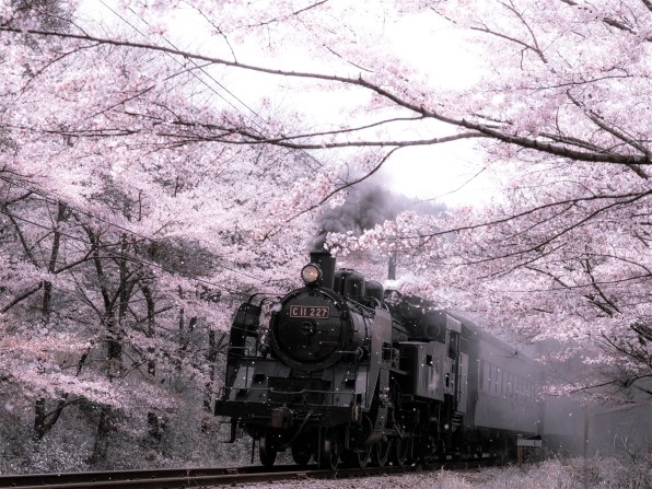 大量 約250枚 昔の撮り鉄さんの写真 SL 機関車 ローカル線 駅舎