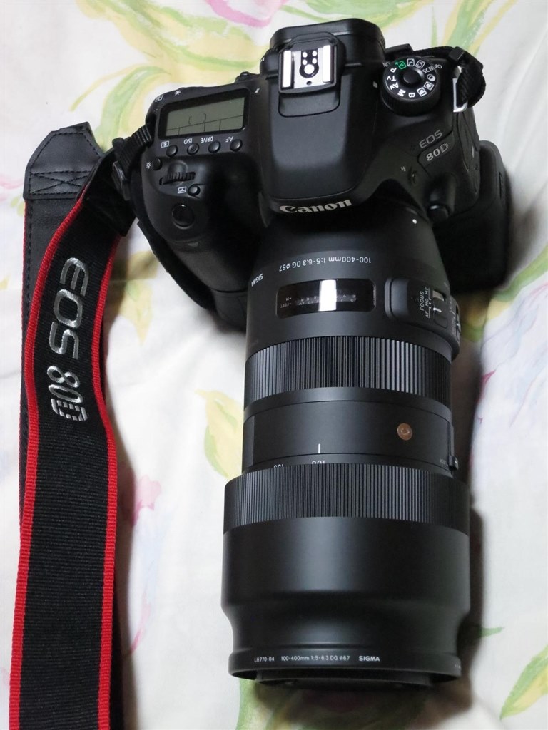 ライト・バズーカ、キター！！』 シグマ 100-400mm F5-6.3 DG OS HSM 