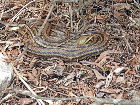 写真作例色いろいろpart228 Gw特別版 貼り放題 クチコミ掲示板 価格 Com