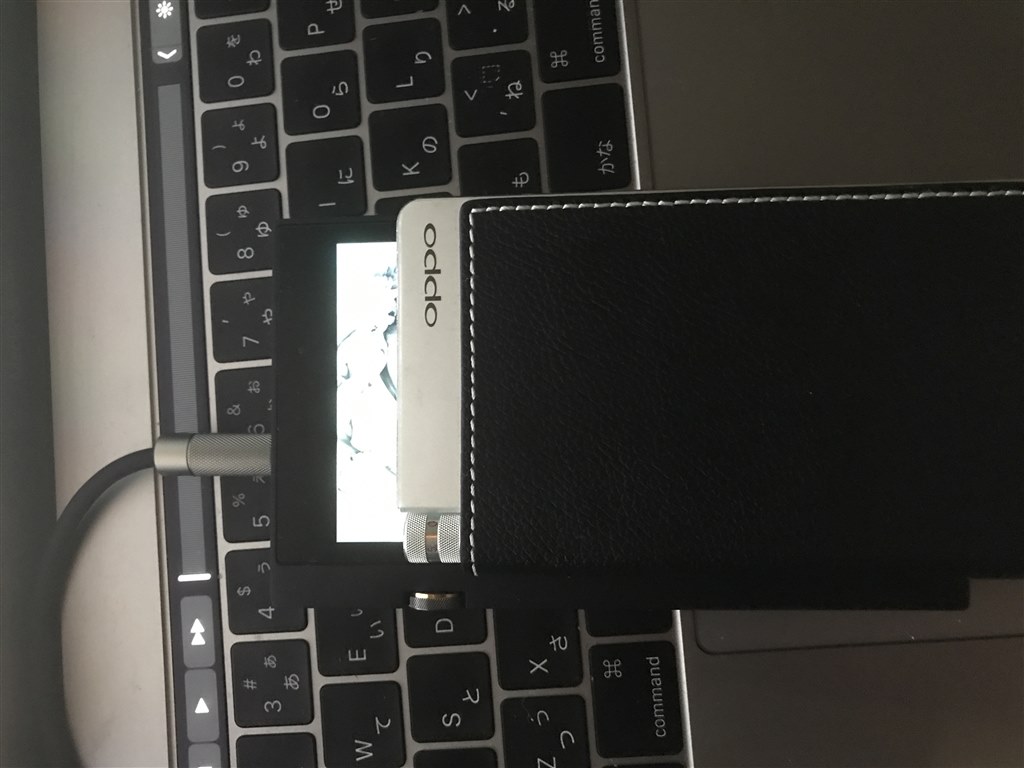 OPPO HA-2 動作確認済（ほぼ新品】OPPO HA-2SE DAC内蔵ポータブル 