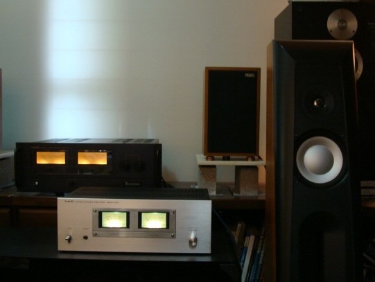 どんな アンプで鳴らしていますか』 THIEL Audio CS1.6WN どんな アンプで鳴らしていますか』 THIEL Audio CS1.6WN