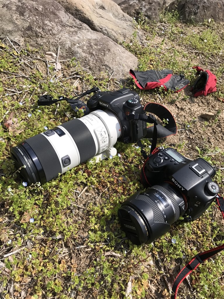 α-7 DIGITALと比べると？』 SONY α700 DSLR-A700 ボディ の