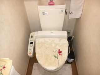 東芝 - 2018年製美品　東芝温水洗浄便座　SCS-T175 価格.com - 東芝 クリーンウォッシュ SCS-T175 価格比較