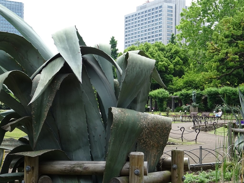 DSC-HX60V　現状品、液晶不具合！ DSC-HX60V 現状品、液晶不具合！ - メルカリ